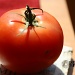 tomato. 083_282_2011 by pennyrae