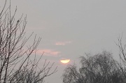 26th Mar 2011 - The morning sun