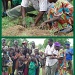 Planting the first tree... by miranda