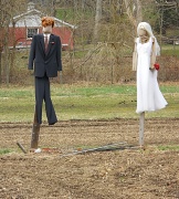 26th Mar 2011 - Wedding in the field?