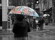 26th Mar 2011 - A Seattle Umbrella On A Rainy Day!