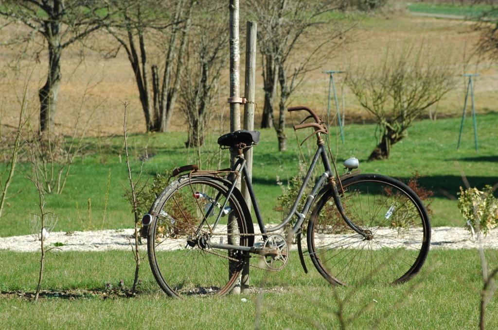 Old bike by parisouailleurs