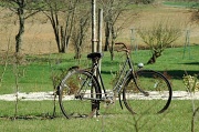 19th Mar 2011 - Old bike