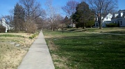 27th Mar 2011 - Sunday Stroll