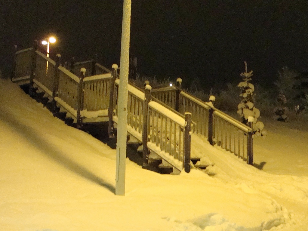 365-DSC00168 Stairs in the snow by annelis