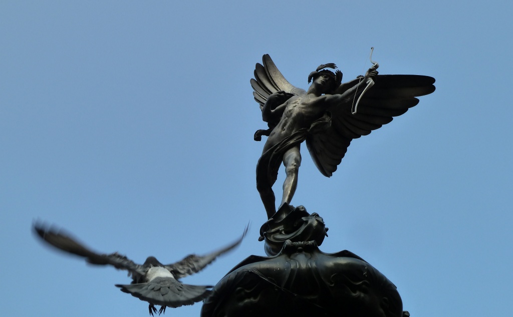 Eros & the Pigeon by rich57