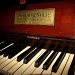 Heirloom piano by corymbia