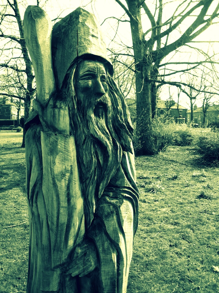 Wood wizard by sarahhorsfall