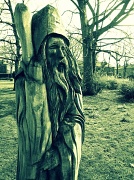 28th Mar 2011 - Wood wizard