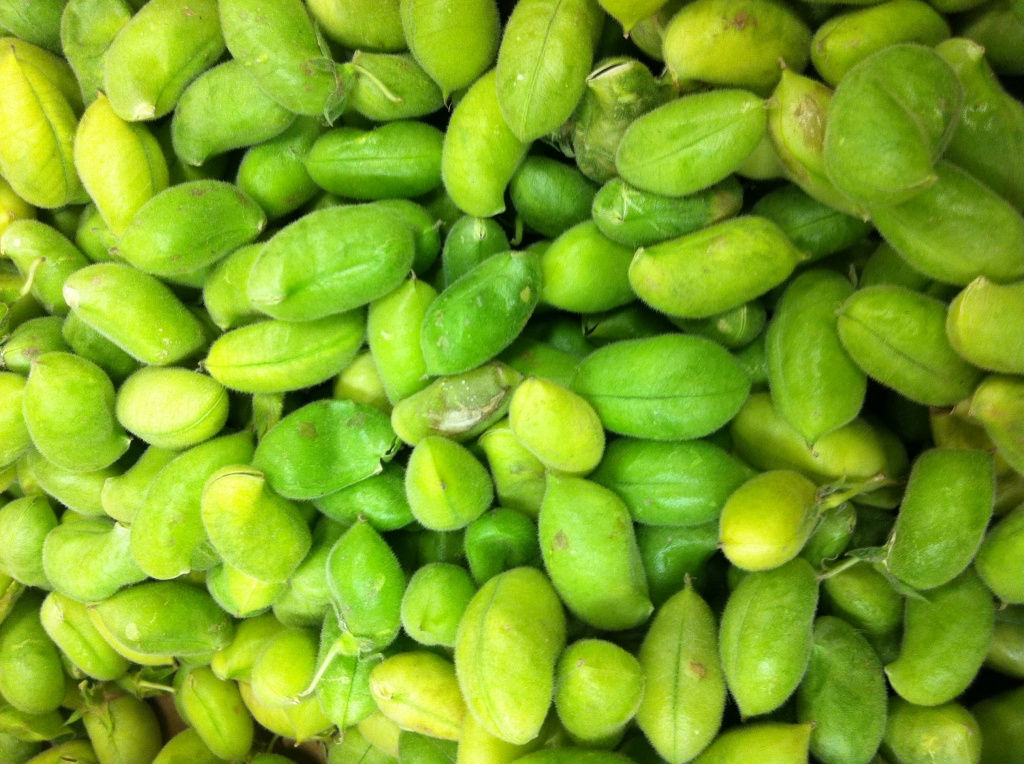Garbonzo beans by corktownmum