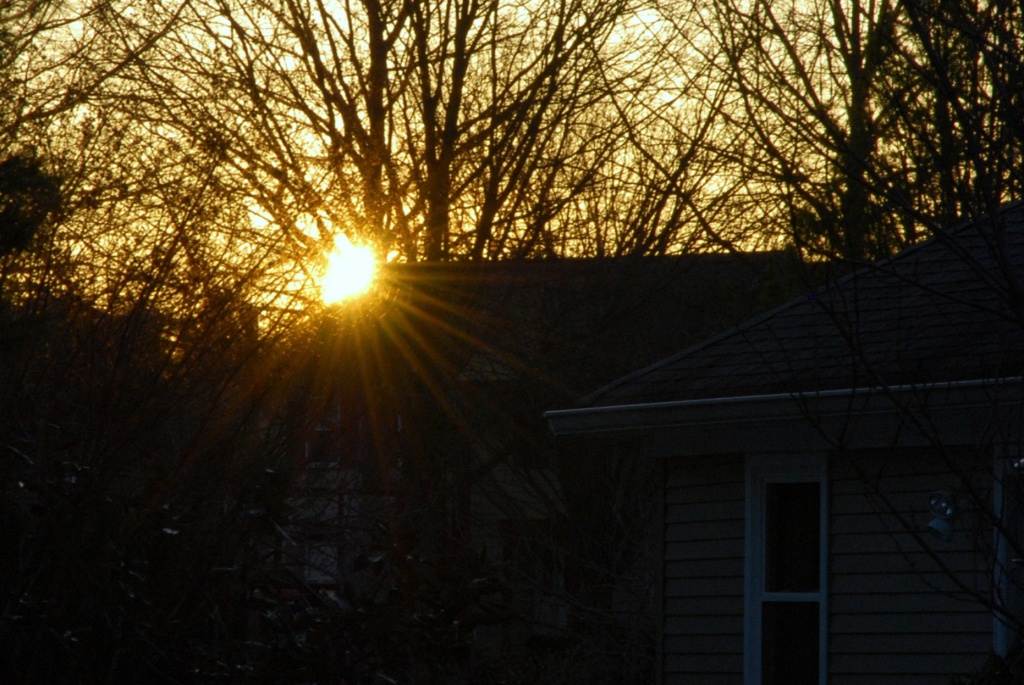 Sun Rising Over My Neighbor's House by sharonlc