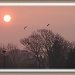 Dawn over Trimley  by judithdeacon