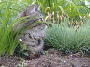 27th Mar 2011 - Max  being one with nature.