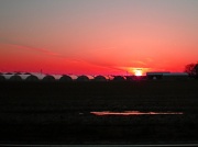 29th Mar 2011 - Sunset over Flower Farm
