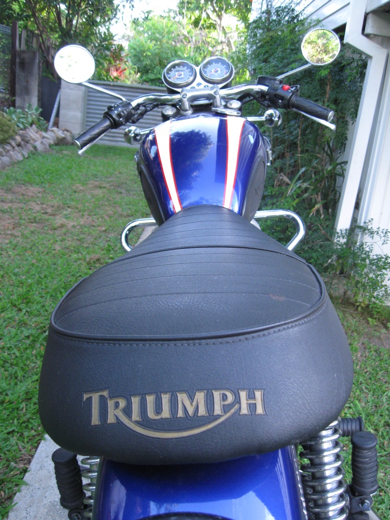 Triumph  by mozette