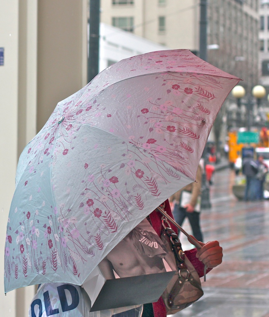 Protecting The Goods On Another Rainy Day! by seattle