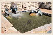 27th Jun 2012 - Bear Fountain
