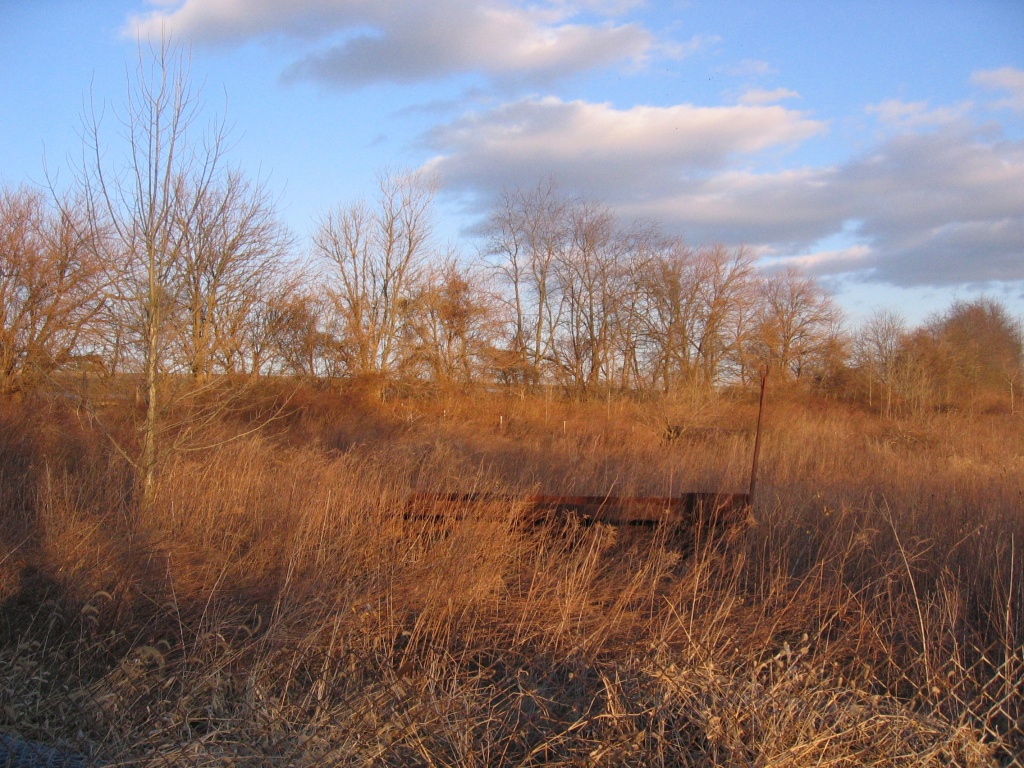Day 28 Abandoned Wagon in the Fallow Field by spiritualstatic