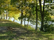 31st Mar 2011 - Along the lazy river.