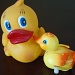 Love Duckies by herussell