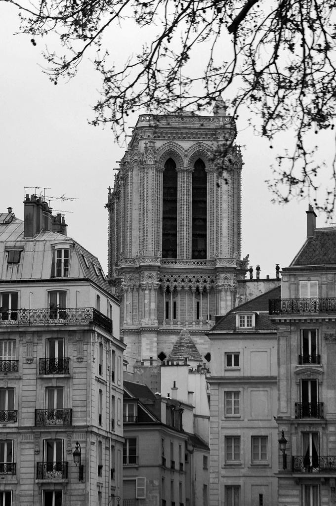 Notre Dame de Paris & ile de la Cité by parisouailleurs