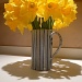 daffodil shadow by miranda