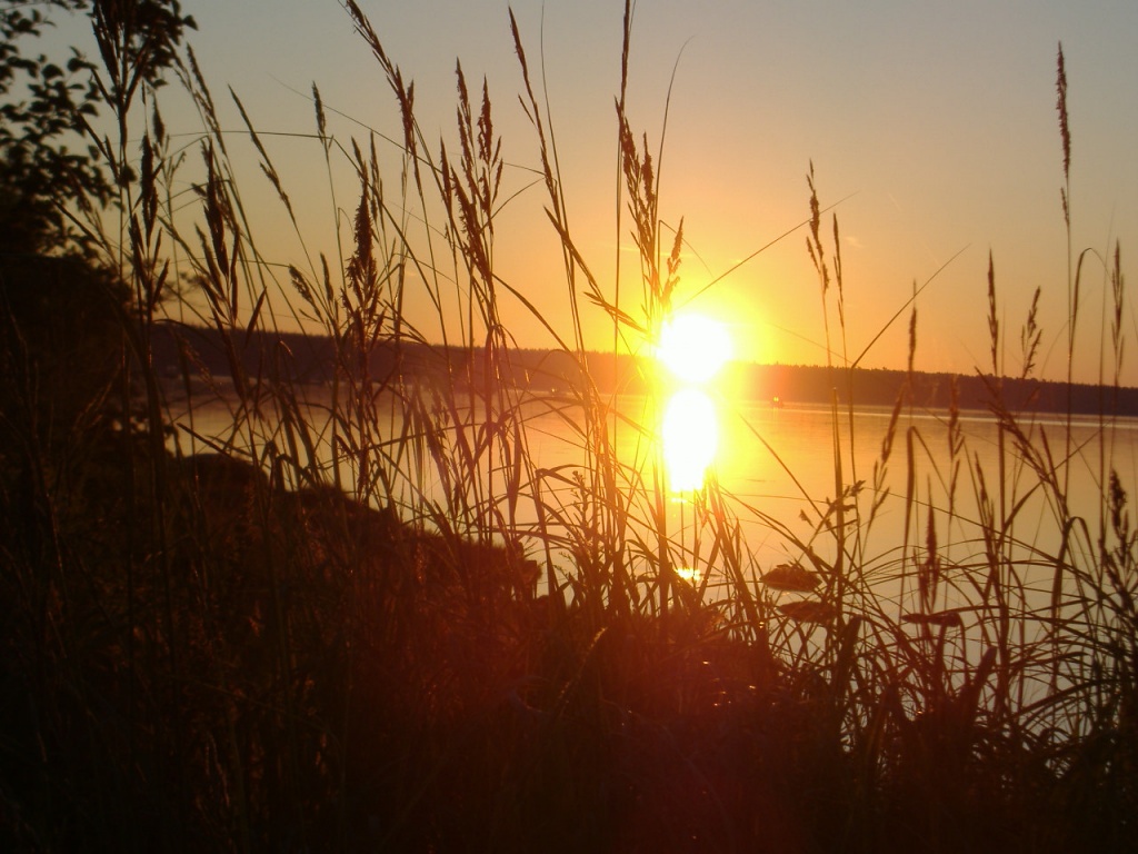 sunrise in Maine by dianezelia
