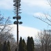 Verizon Pine by hjbenson