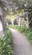 3rd Apr 2011 - Peaceful Pathway