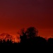 Red Sky at Night by andycoleborn