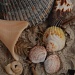 Shells at Topsail by graceratliff