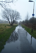 16th Mar 2011 - Another Wet Wednesday