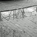 Sidewalk Reflections on a Gray Wet Day by herussell