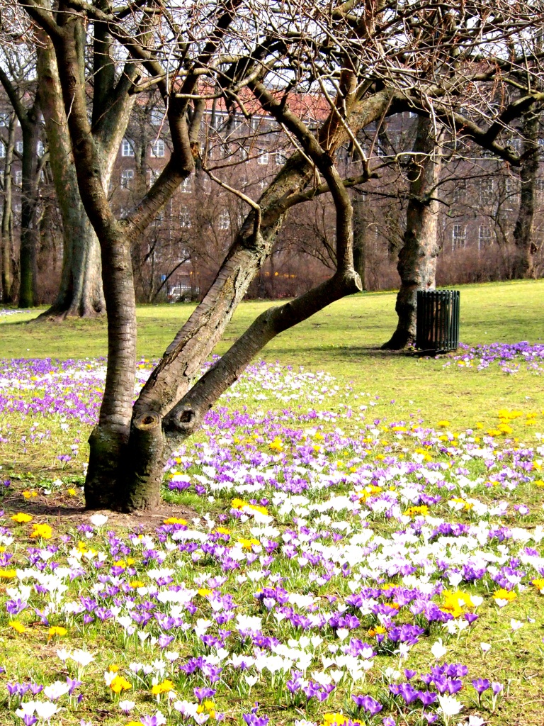 Spring in Copenhagen by flygirl