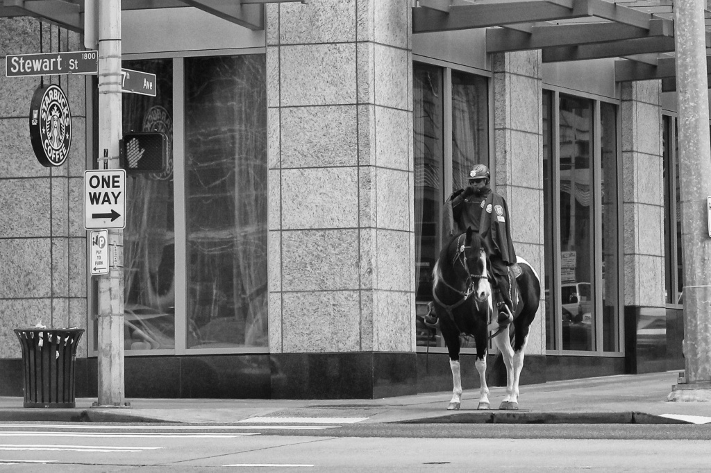 Waiting For The Light, The Horse Looks Both Ways Before Crossing... by seattle