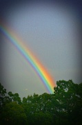 5th Apr 2011 - Rainbow