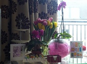 2nd Apr 2011 - Flowers and cards
