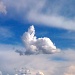 Bunny Cloud by marilyn