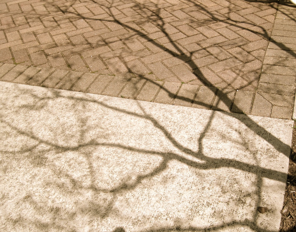 Noontime shadows by allie912