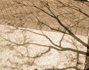 23rd Mar 2010 - Noontime shadows