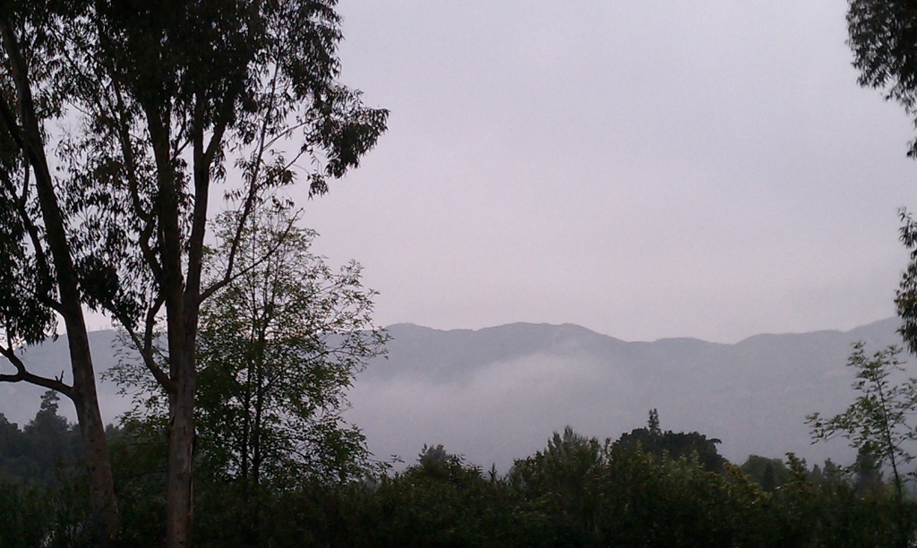 Misty Morning by msfyste