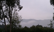 6th Apr 2011 - Misty Morning