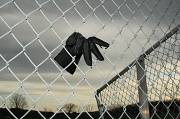 7th Apr 2011 - Lost glove (I guess)