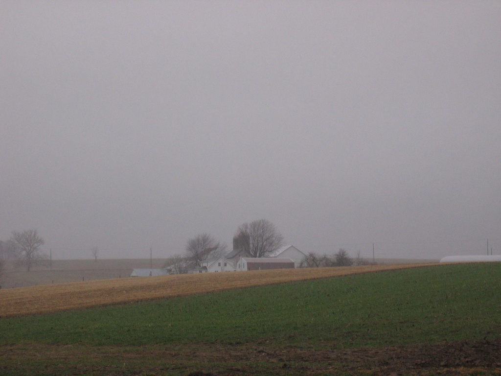 Day 43 Farm Through the Mist by spiritualstatic