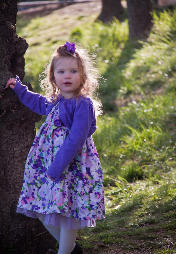 Backlit Girl Dressed Up for Cherry Blossoms at the Tidal Basin by jbritt