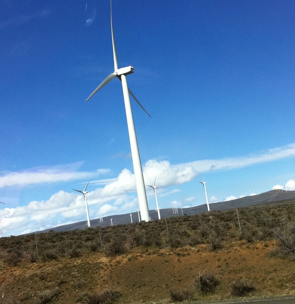 Wind Farm by marilyn