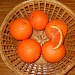 Oranges by kchuk