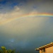 Nana's Rainbow by corymbia