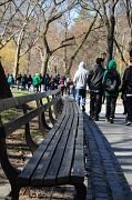 5th Apr 2011 - Central Park