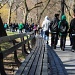 Central Park by dora